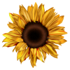 sunflower - 饰品 - 