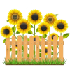 sunflowers - Items - 