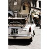sunny street - 車 - 