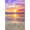 sunset beach - Background - 
