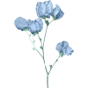 floral - Pflanzen - 