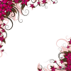 floral - 插图 - 