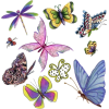 leptiri - Rośliny - 