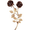 ruže - Pflanzen - 