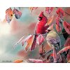 bird - Background - 600,00kn  ~ $94.45