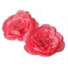 h&m flower - Other - 40,00kn  ~ £4.79