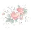 roses pozadina - Background - 600,00kn  ~ £71.78
