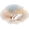 swan fade - Ilustracje - 