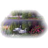 swan lake - Ilustracje - 