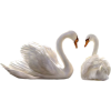 swan pair - 动物 - 