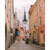 tallinn - Ilustracije - 