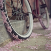 Bike - Moje fotografie - 