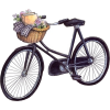 bicikle - Veicoli - 