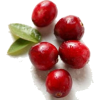 Bobice - Fruit - 