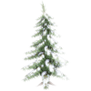 Bor Pine - Растения - 