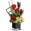 Roses - Plantas - 