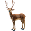 Jelen deer - Illustraciones - 