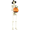 Skeleton And Pumpkin - イラスト - 