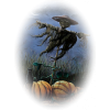 Scarecrow - Illustrations - 
