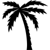 Palm - Растения - 