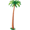 Palm - Pflanzen - 