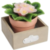 flower box - 饰品 - 
