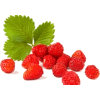 šuStrawberries - Frutas - 