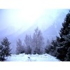 zima - Background - 