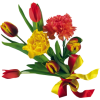 Flowers - 植物 - 