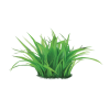 Grass - Plantas - 