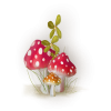 Mushrooms - Растения - 