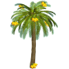 Palm Tree - Rastline - 