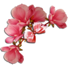 tree flower - Plantas - 