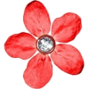 red flower - Rastline - 