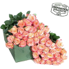 flowers roses - Pflanzen - 