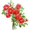 flowers roses - Plantas - 