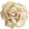 paper white rose - Plantas - 