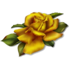 rose flower - Plants - 