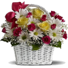 Buket cvijeća - 植物 - 