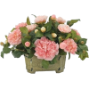 Buket cvijeća - Rośliny - 