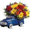 car flowers - Pflanzen - 