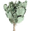 tree - 植物 - 