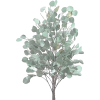 tree - Pflanzen - 