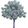 tree - Rastline - 