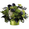 flower bucket - Rastline - 
