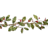 Božikovina / Holly - 植物 - 
