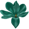 Cvijet - 植物 - 