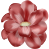 Cvijet - Rośliny - 