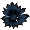cvijet - Rośliny - 