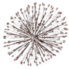 Fireworks - 插图 - 